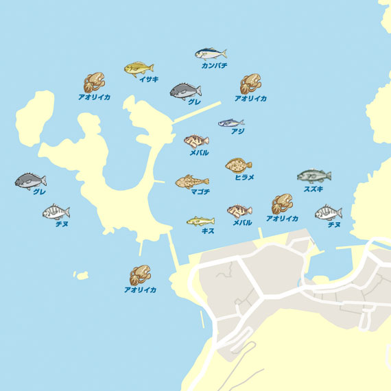 加賀漁港 陸っぱり 釣り 魚釣り 釣果情報サイト カンパリ