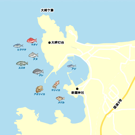 五十猛漁港 陸っぱり 釣り 魚釣り 釣果情報サイト カンパリ