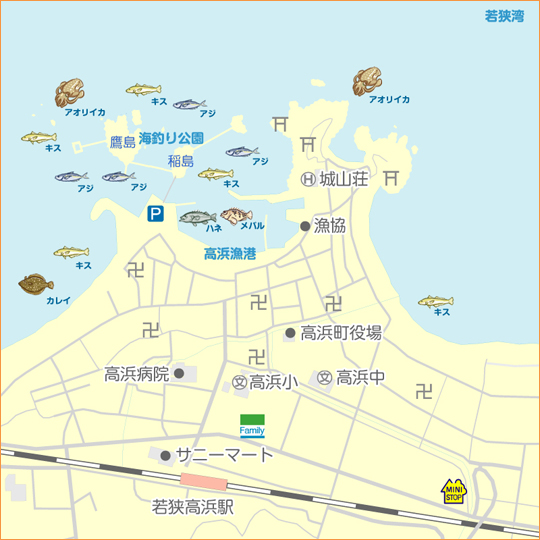 夏アオリを求めて 福井県 高浜 エギング コウイカ 陸っぱり 釣り 魚釣り 釣果情報サイト カンパリ