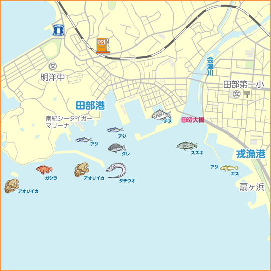 田辺 戎漁港 陸っぱり 釣り 魚釣り 釣果情報サイト カンパリ