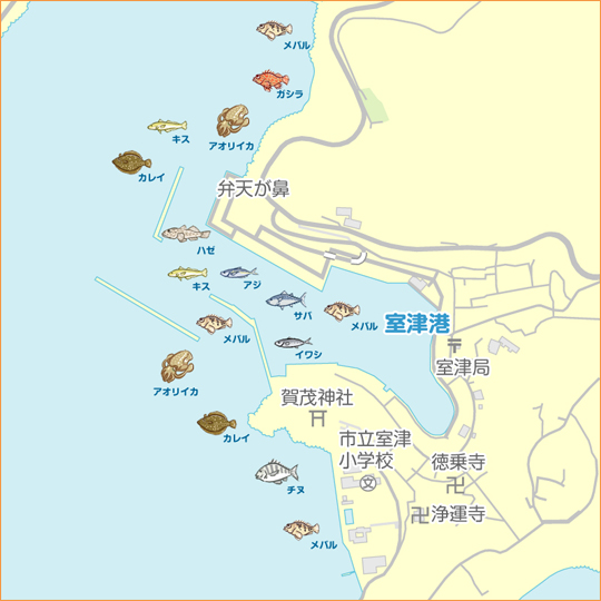 室津港 兵庫県 陸っぱり 釣り 魚釣り 釣果情報サイト カンパリ