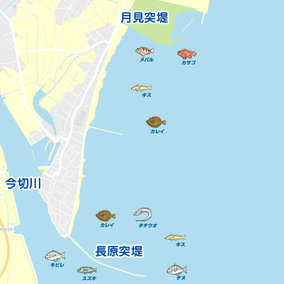 月見突堤～長原突堤