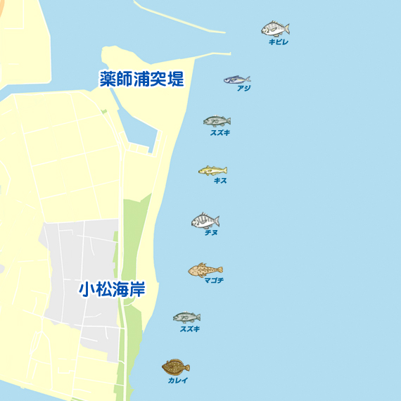 薬師裏突堤～小松海岸