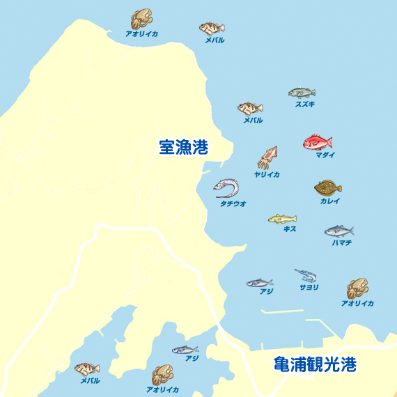 亀浦観光港周辺