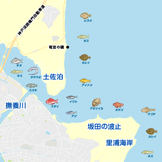 土佐泊～里浦海岸