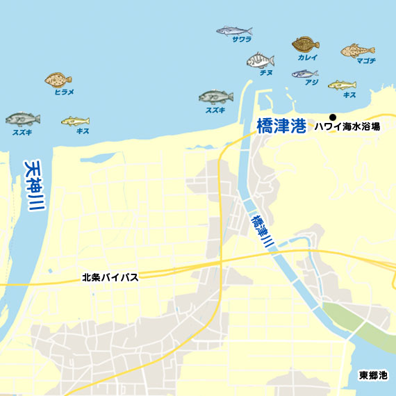 橋津港〜天神川