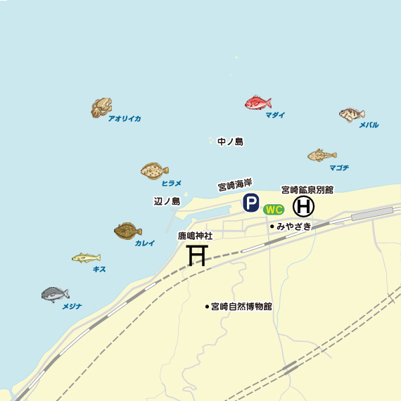 アジング 富山県 宮崎漁港 アジング カマス 陸っぱり 釣り 魚釣り 釣果情報サイト カンパリ