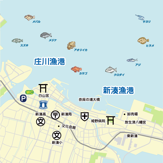 庄川河口〜新湊東漁港