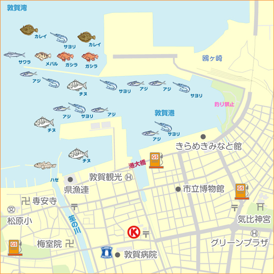 アジング ショアジギング 福井県 敦賀港 アジング メバル 陸っぱり 釣り 魚釣り 釣果情報サイト カンパリ