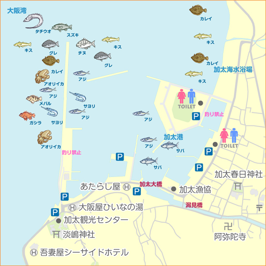 加太漁港 陸っぱり 釣り 魚釣り 釣果情報サイト カンパリ