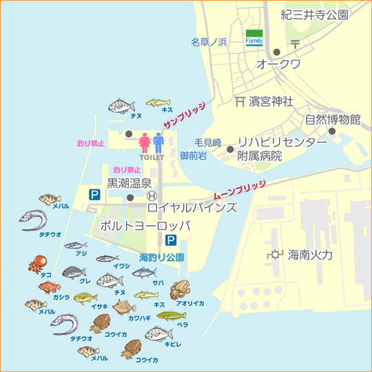 和歌山マリーナシティ タチウオ 陸っぱり 釣り 魚釣り 釣果情報サイト カンパリ