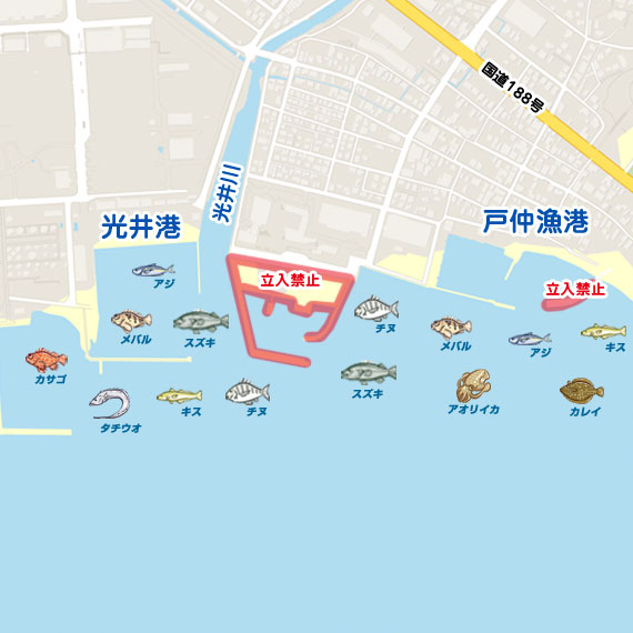 戸仲漁港・光井港