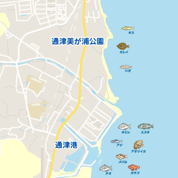 通津美が浦公園・通津港