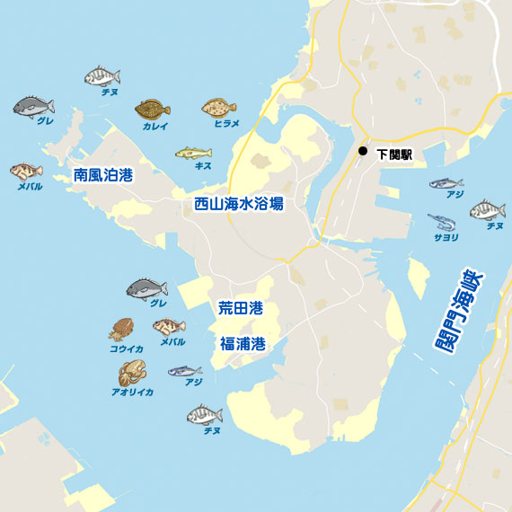 彦島 陸っぱり 釣り 魚釣り 釣果情報サイト カンパリ