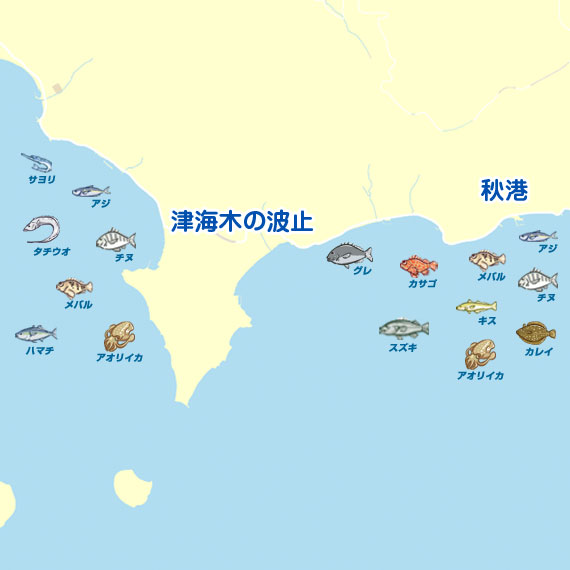 津海木周辺