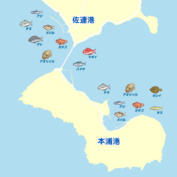 佐連港・本浦港