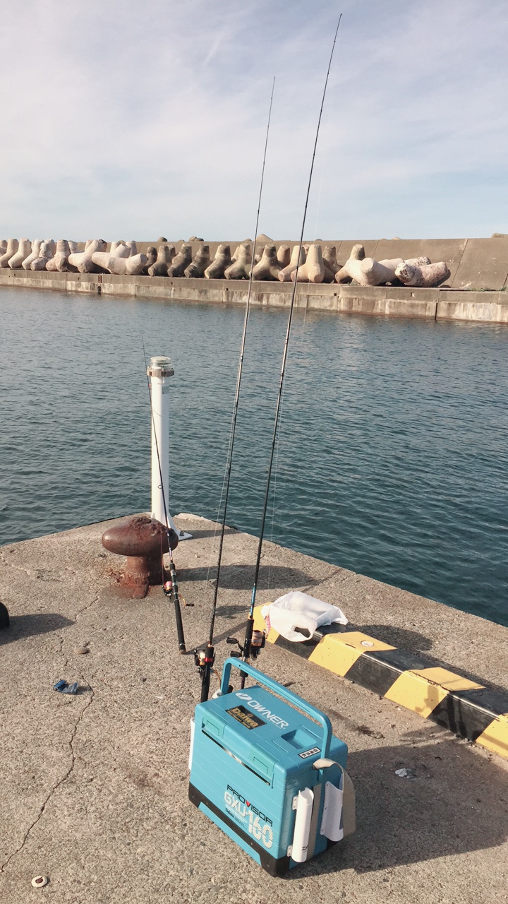 コスパ良し 釣具のインプレ 評価 レビュー カンパリインプレッション