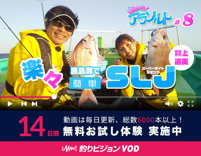 芦北町 水俣市 エギング 陸っぱり 釣り 魚釣り 釣果情報サイト カンパリ