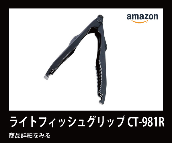 【一点物】　レントゲン魚拓　舌平目 一点物】 レントゲン魚拓 舌平目