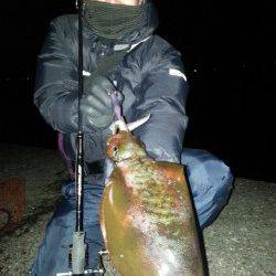 スラックジャークでヒット！ 串本港でエギング