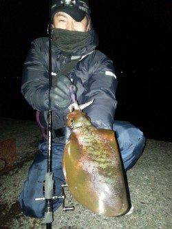 スラックジャークでヒット！ 串本港でエギング