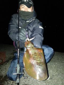 スラックジャークでヒット！ 串本港でエギン…