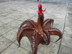 北公園　兵突ＲＴ、１ｋのタコなど