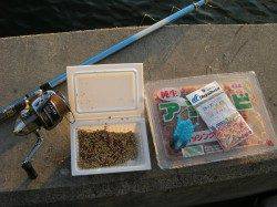 キワキワサビキでガシラ来ました