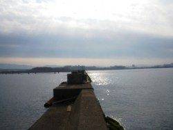 エビ撒きでハネ♪♪　泉大津RT12日昼