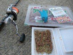 小野浜の根魚釣りのヒント