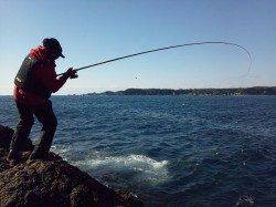 串本でグレ連発♪４０ＵＰも登場。