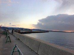 紀ノ川河口でフカセ釣り、午後にやっとのことで本命一枚