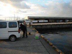 寒さに耐えてハネ１本♪泉大津RT28日夕方