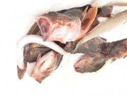 兵突でポン出ました!