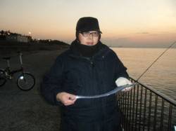 【７時に時合】南芦屋浜リアルタイム  