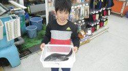 地磯でお子様が見事グレGET！