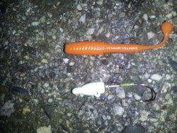 舞洲での初釣りでガシラをしとめました♪