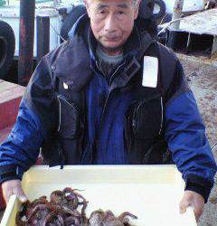 沖一文字でのタコ釣り、400g〜600gのタコ4杯の釣果