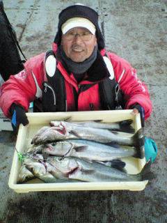 中波止、エビ撒きでハネ！納得サイズ7匹！