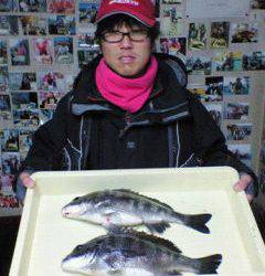 中波止でチヌ39～41センチの釣果、フカセ釣りで