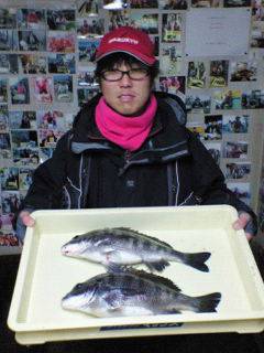 中波止でチヌ39～41センチの釣果、フカセ…