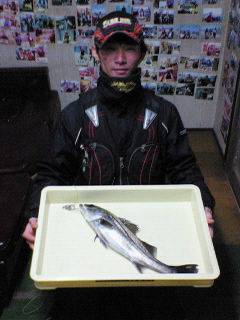 中波止でエビ撒き釣り、50cmのハネＧＥＴ…