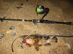 垂水漁港　ボトムズル引きでガシラ釣り