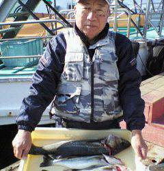 旧一文字赤灯でスズキ、〜40から62センチ 4匹〜