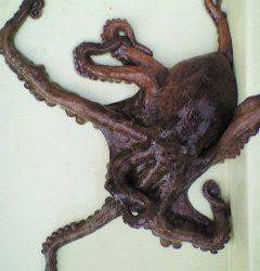 岸和田沖一文字でのタコはいいサイズです♪