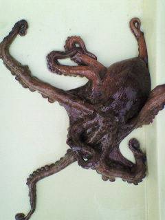 岸和田沖一文字でのタコはいいサイズです♪