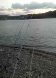 福良湾で初カレイ！！