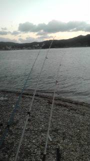 福良湾で初カレイ！！