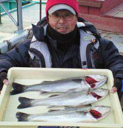 中波止で55cmのハネを頭に3匹キャッチ♪