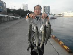 ハネ爆釣してます♪泉大津ＲＴ（12日・朝）…